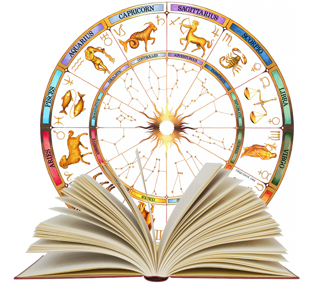 Training & Certification